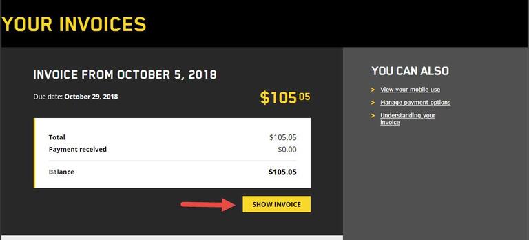 show invoice