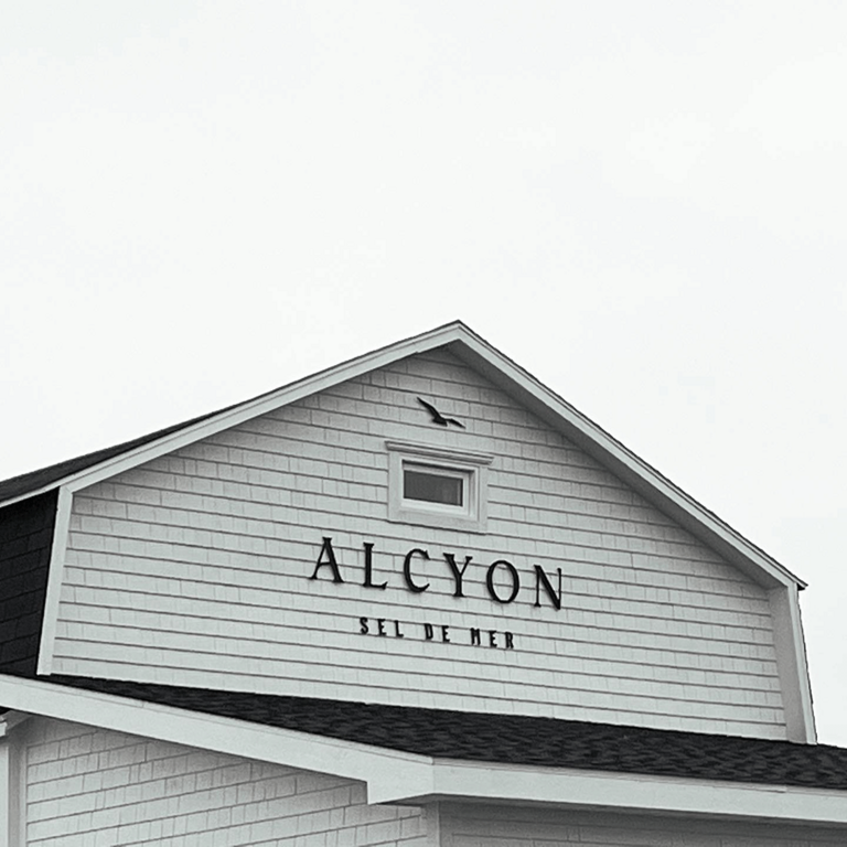 Toit Alcyon sel de mer