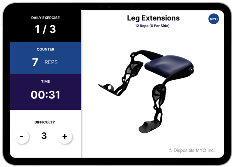 Leg Extensions