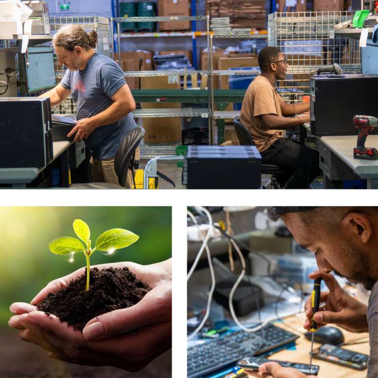Plante Terre Réparation 