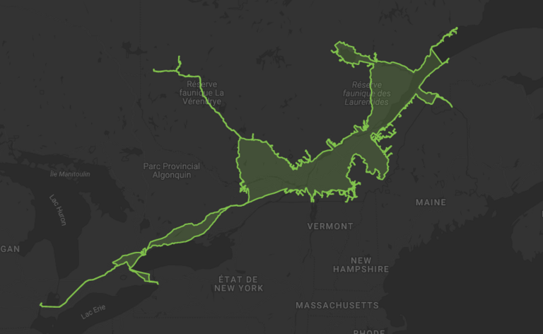 carte réseau fibrenoire