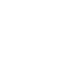 icon phone blanc