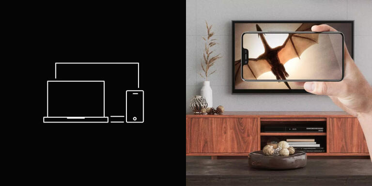 appli tv 800*400