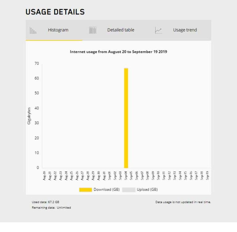 Support - Usage Details