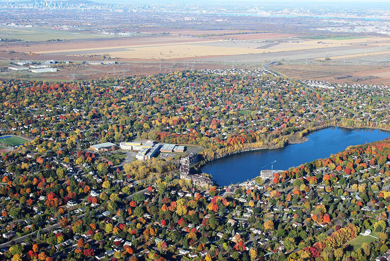 city ​​forest tree lake water autumn