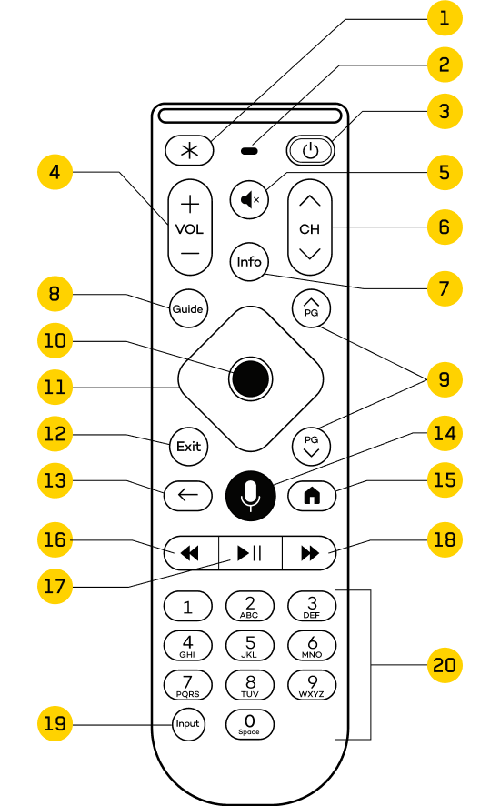 Large button voice remote